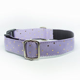 Purple with Golden Polka Dots Dog Collar - S-L sizes with custom matching pet tag - Adventures of Rubi